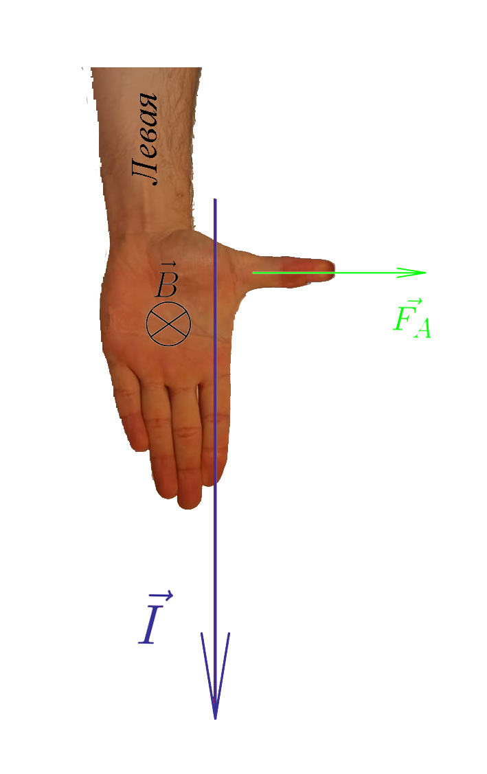 Правило левой руки
